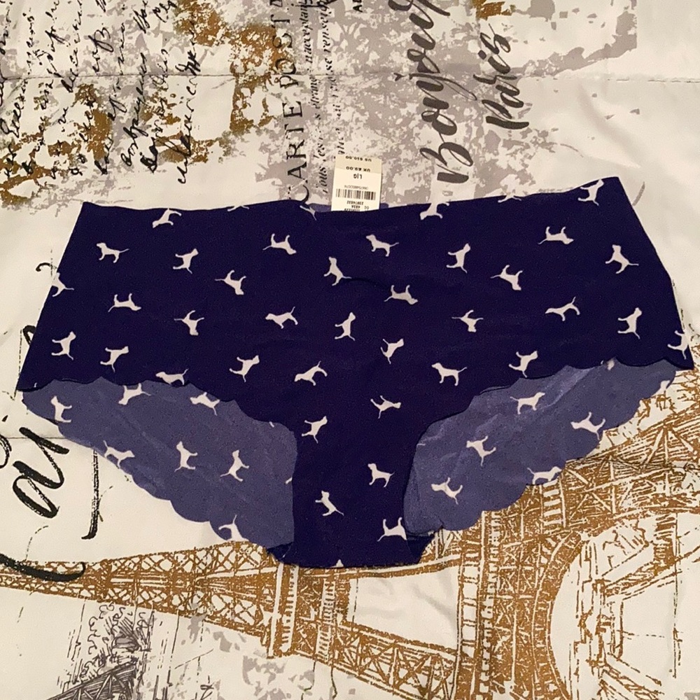 VS Pink Hipster Panty